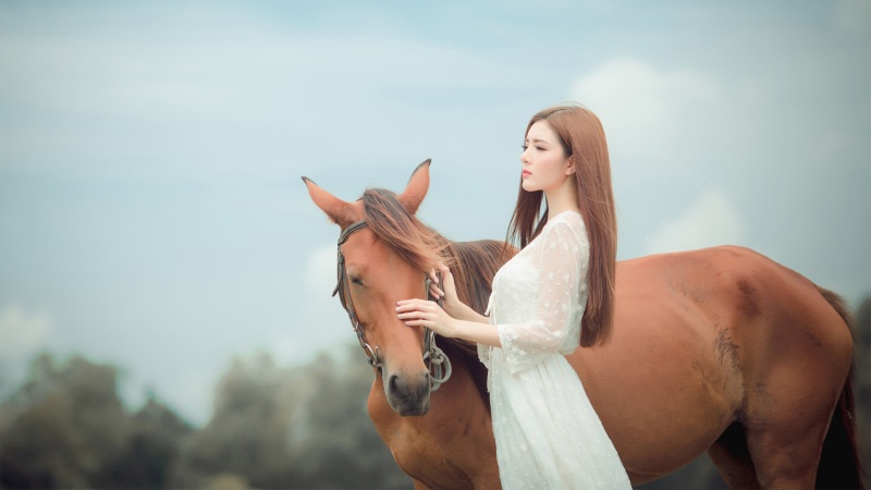 崩坏星穹铁道魈魅寻踪任务怎么做 魈魅寻踪任务攻略分享